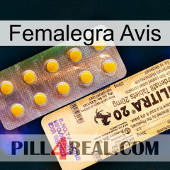 Femalegra Avis new06